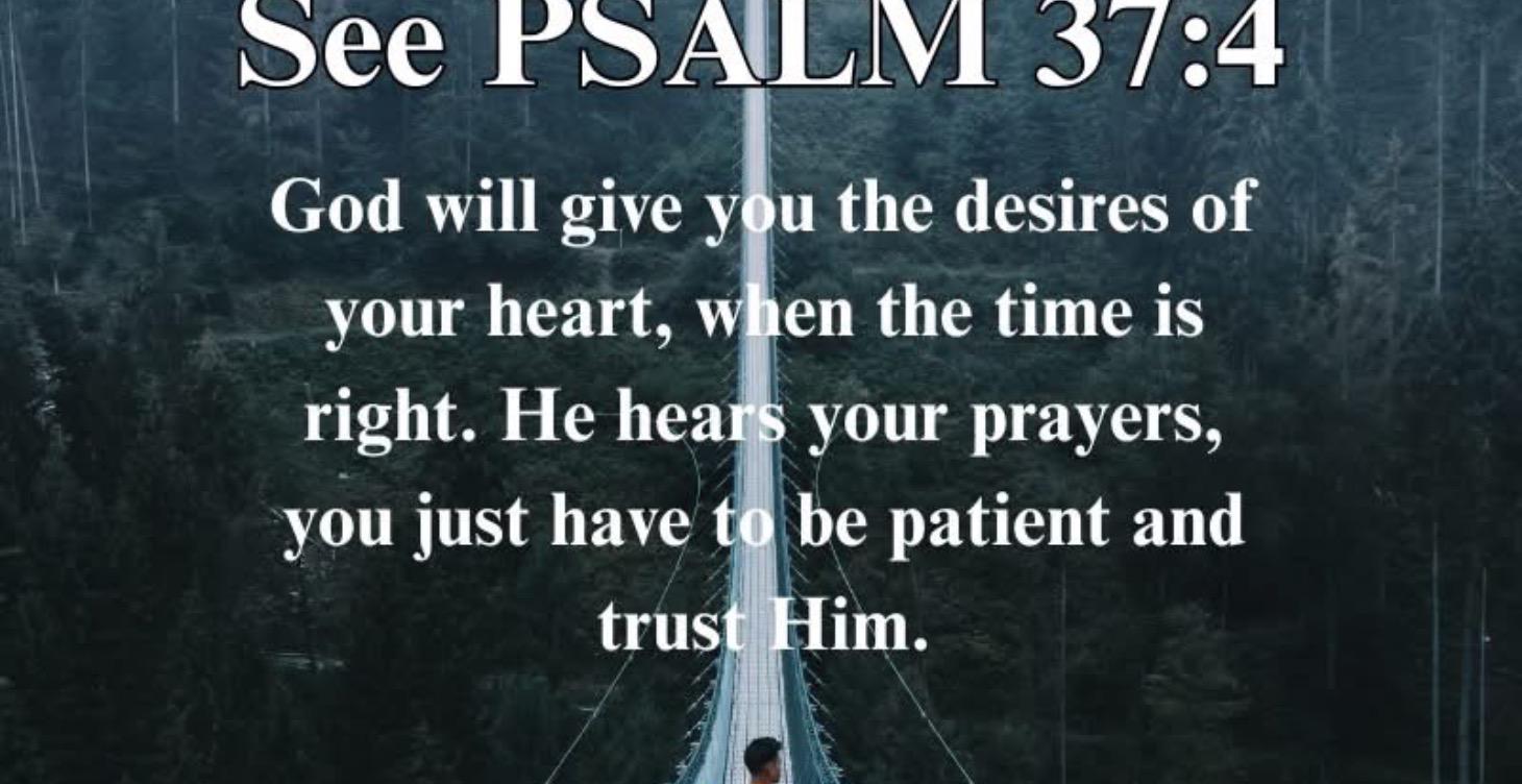 Week Eight: Living in Gratitude