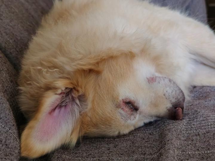 Enrique Juan de la Fuente Hervás