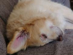 Enrique Juan de la Fuente Hervás