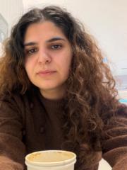 Soheila Ghaneei