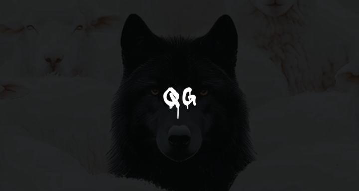  QG
