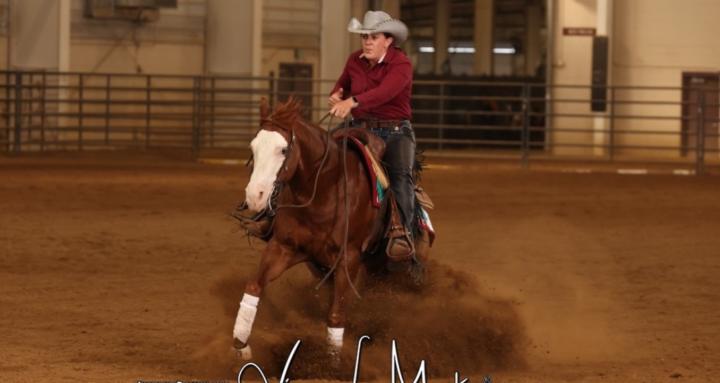 Fundamentals of Reining