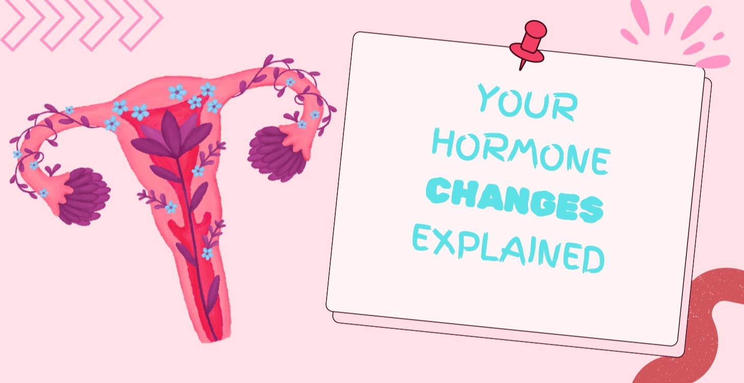 HORMONE CHANGES EXPLAINED THE NON-BORING WAY!