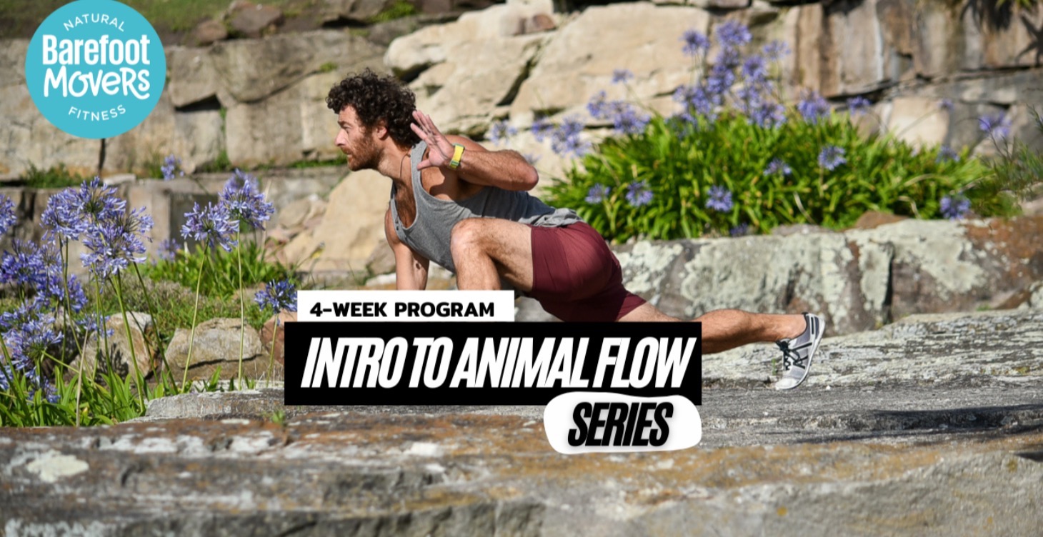 Intro to Animal Flow Series