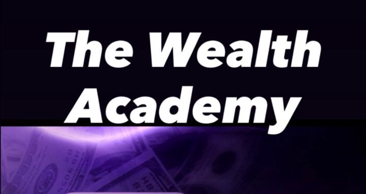 The Wealth Academy