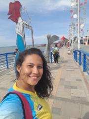 Jessica paola Castro nuñez