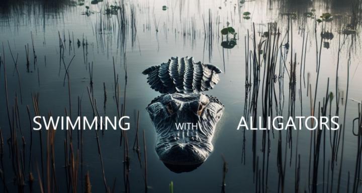 Swimming with Alligators