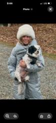 Vicki Grieshaber