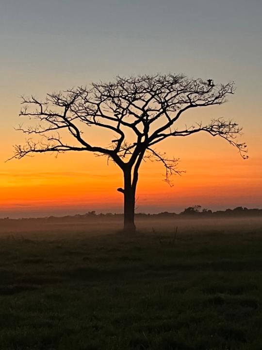 Sergio Andrés Acosta builes