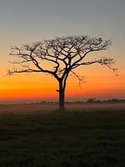 Sergio Andrés Acosta builes