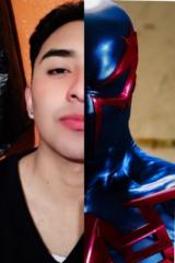 Daniel Ibarra