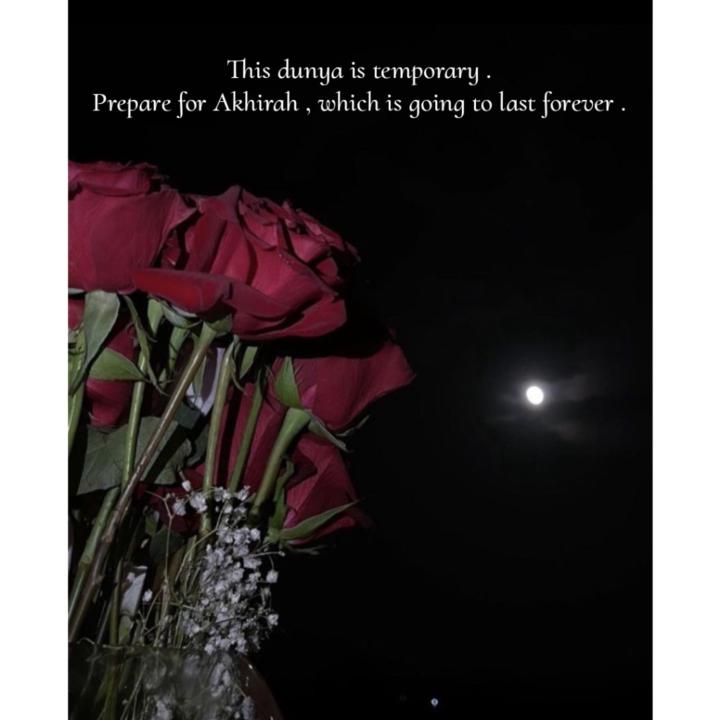 Shafiya Fatima