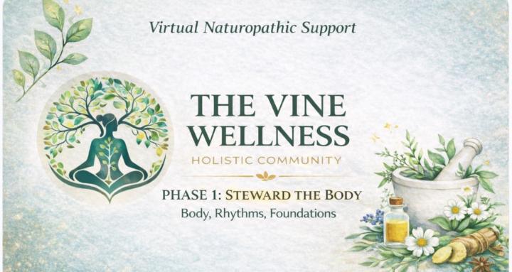 The Vine Wellness | Holistic