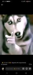 Ozzy Abundiz
