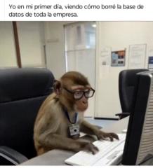 Ronald Cuello