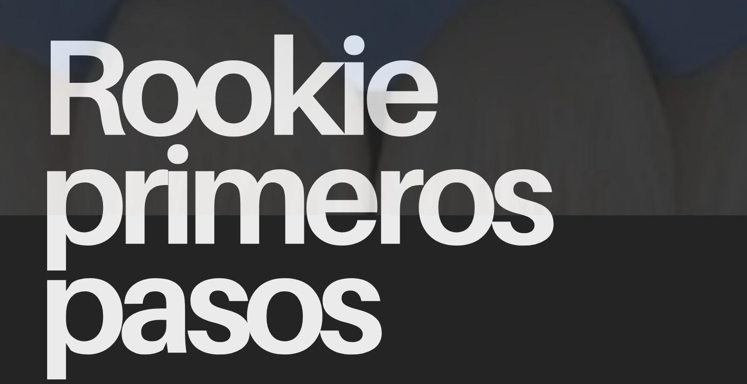Nivel 1: Rookie - Primeros Pasos