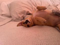 Sango Nozawa-Auclair