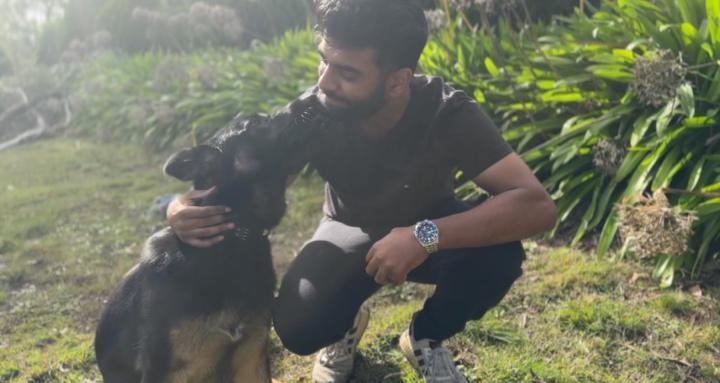 Alpha K9 Academy