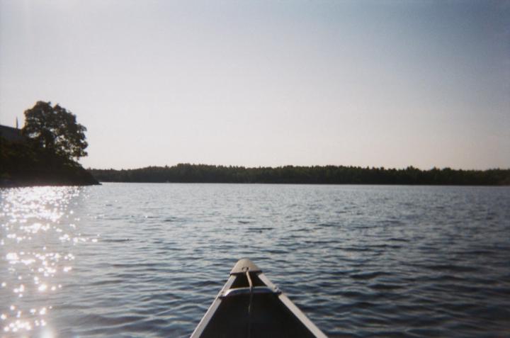 Noah Gonzalez-Roginski