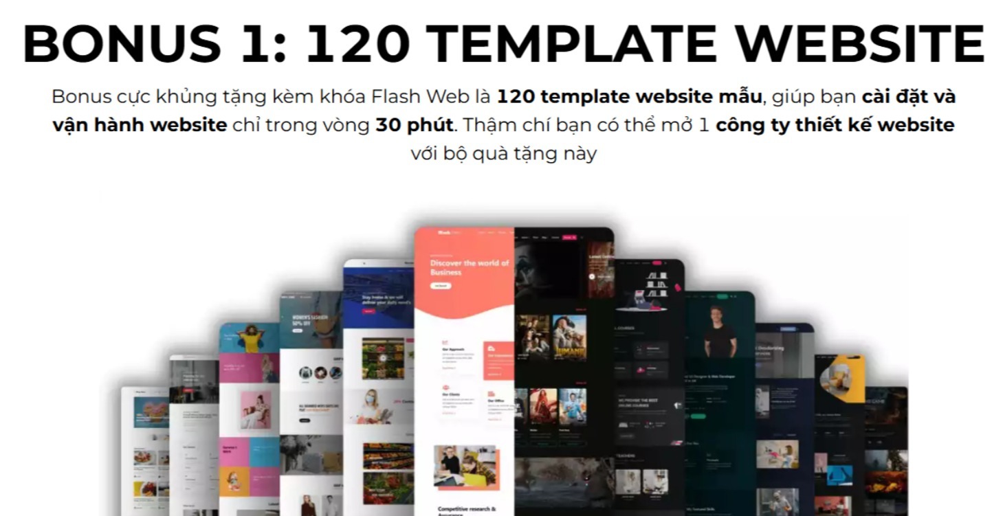 Bonus 650+ Template Website