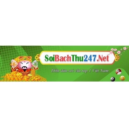 Web soi cầu Miễn phí
