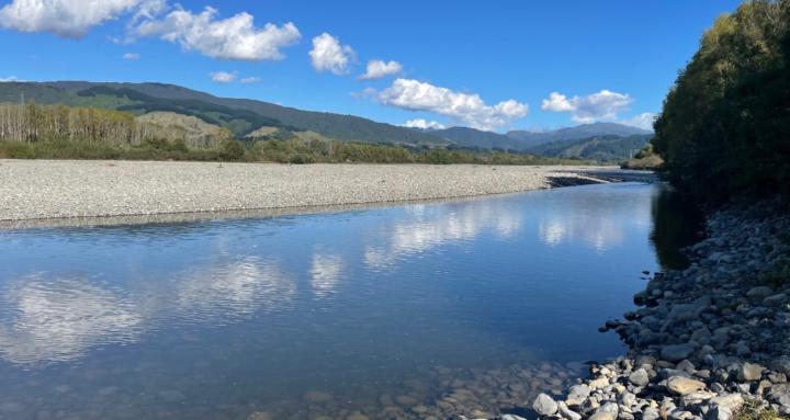 The River Health Collective