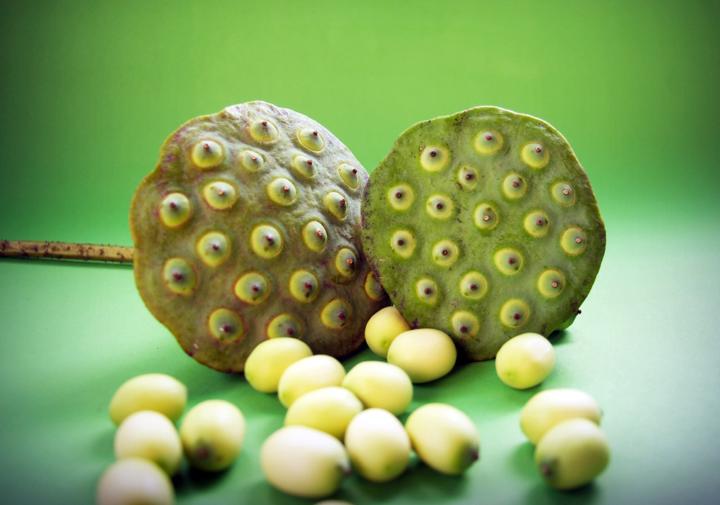 🌸 Lotus Seeds: The Calm-Down Snack with Sacred Roots