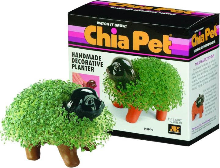 🌱 Chia Seeds: Tiny Powerhouses with a Big Impact  