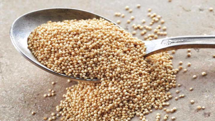 🌾 Amaranth: The Rebel Grain That Refuses to Fade