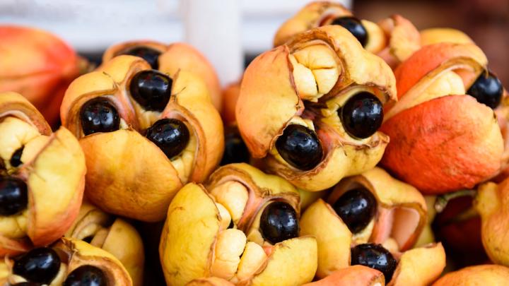 🇯🇲 “Ackee: The Caribbean Gold That Runs in Our Veins” 🌞