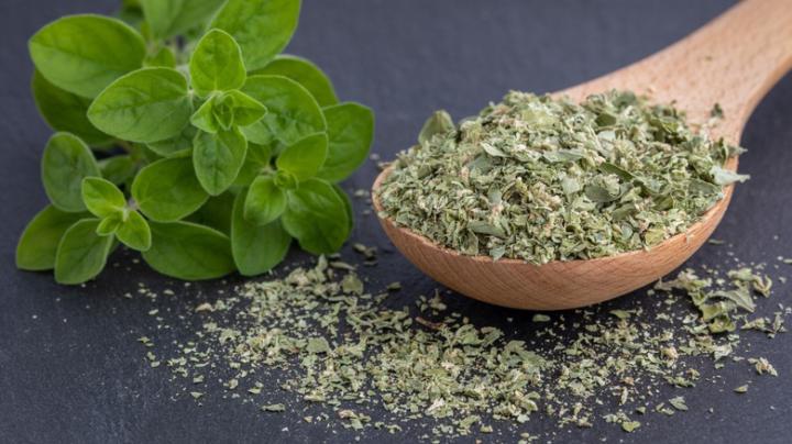 🌿 Oregano: The Unsung Bodyguard in Your Kitchen