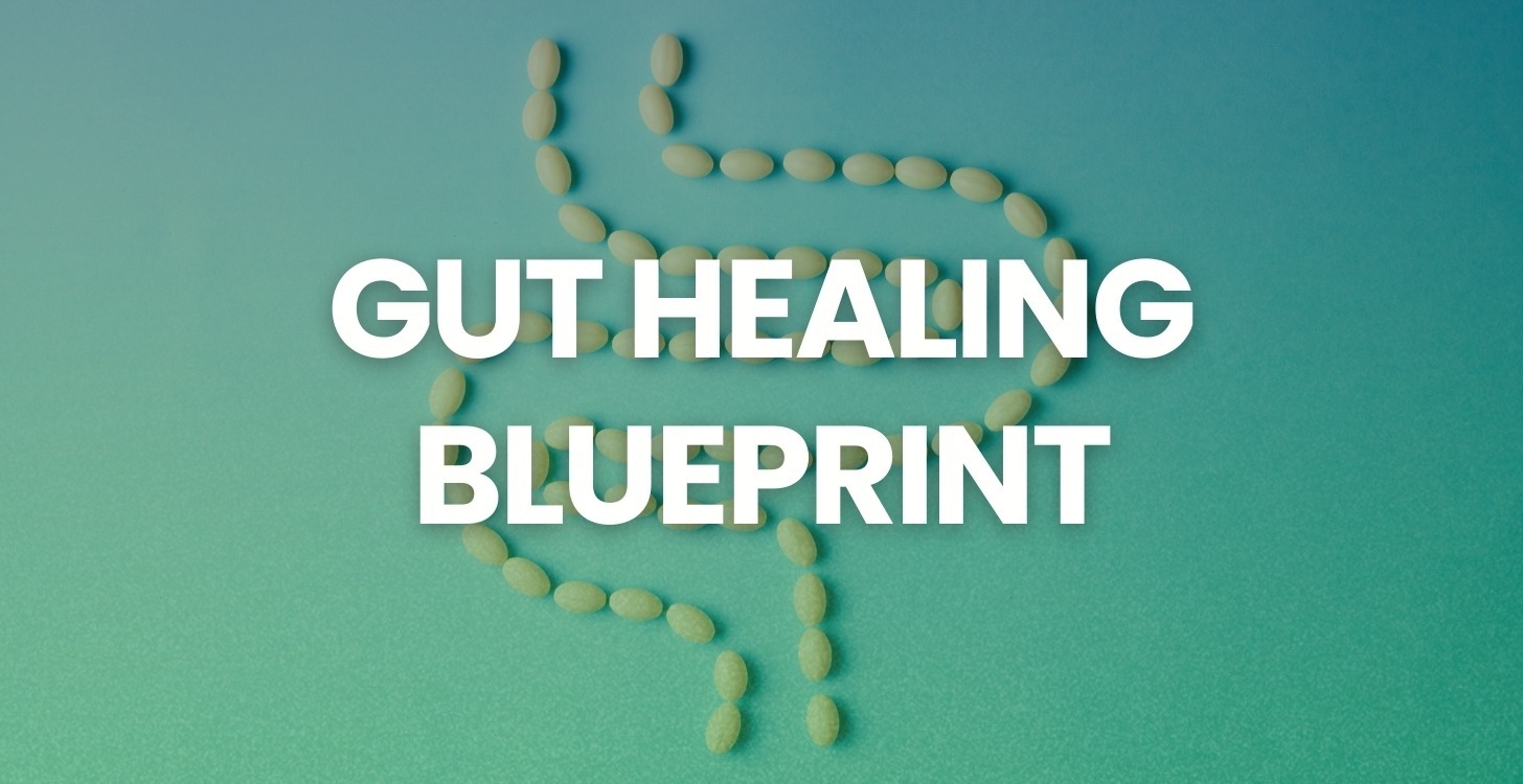 Month 2 – Gut Healing Blueprint
