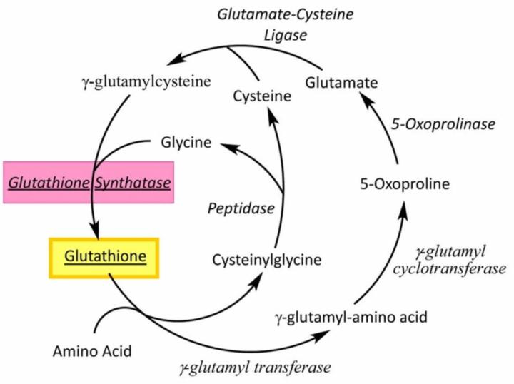   🧪 GLUTATHIONE MADE SIMPLE