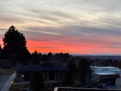 Stephanie v Drummond