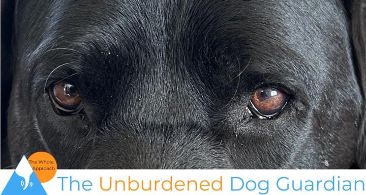 The Unburdened Dog Guardian