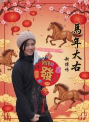 Lin Meichu