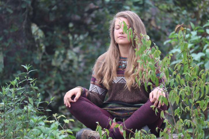 Eine Pflanze wächst nicht schneller, nur weil wir an ihr ziehen.