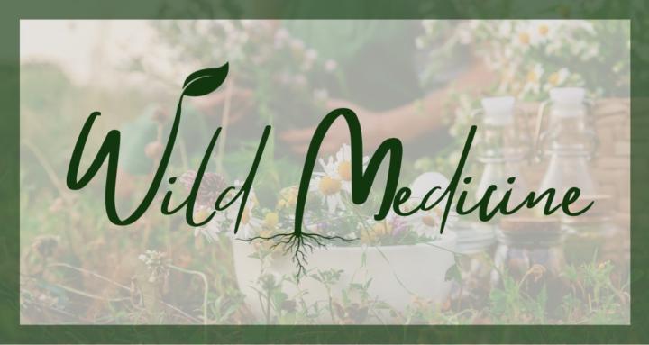 Wild Medicine Collective