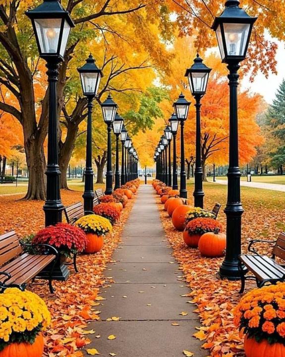 🍁 ¡Nueva Temporada, Nuevas Vibras! 🍁