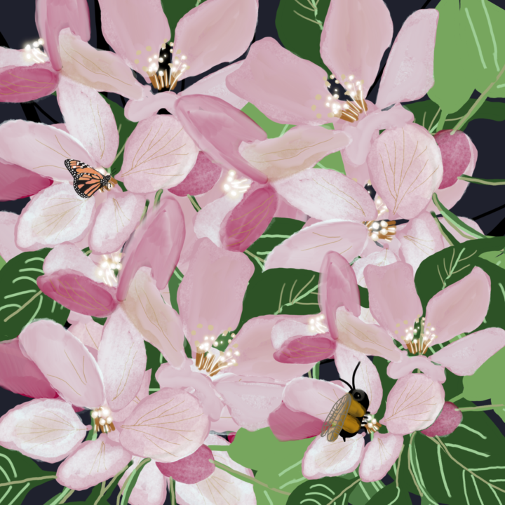 Illustration from Apple Stars