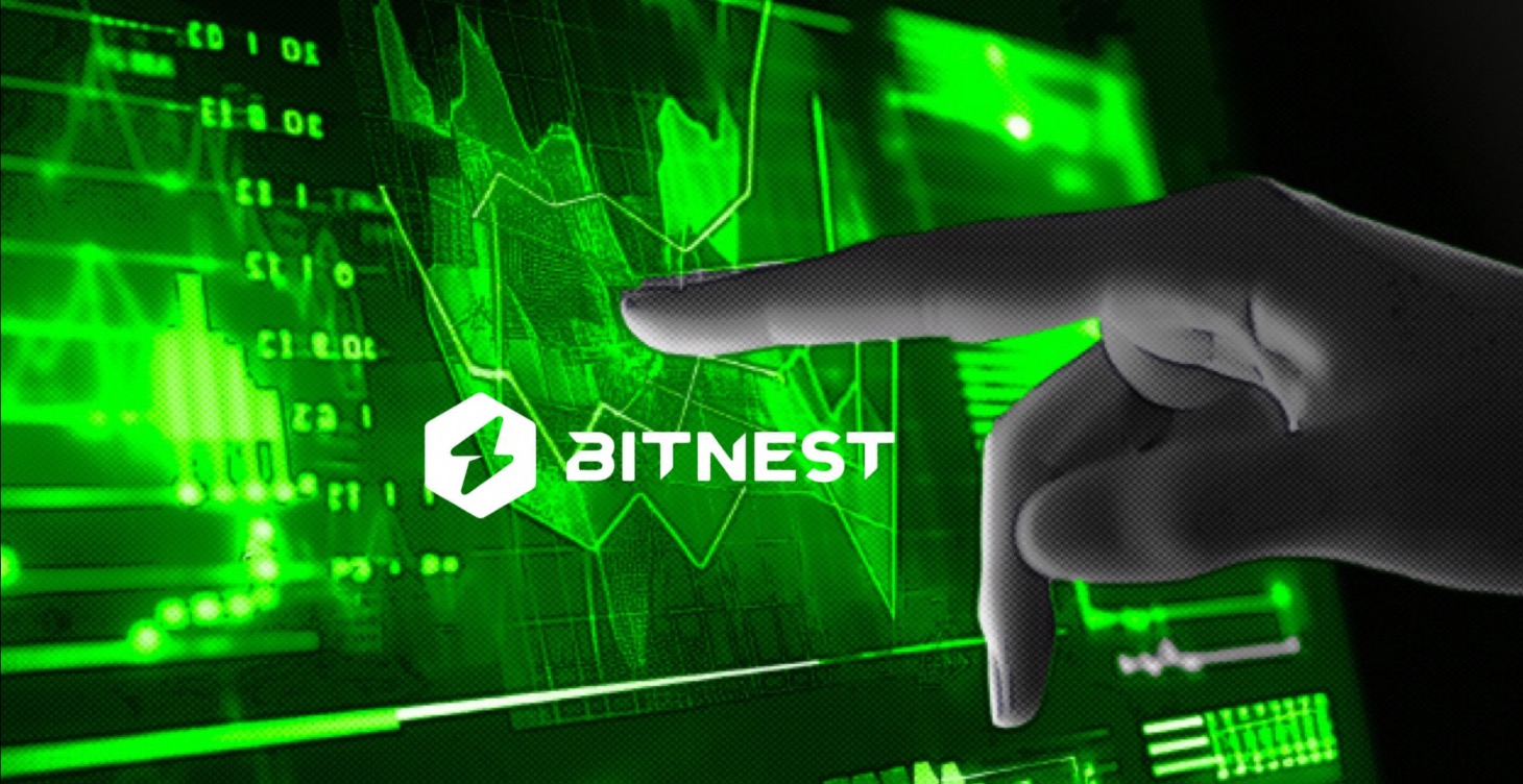 Explora BitNest