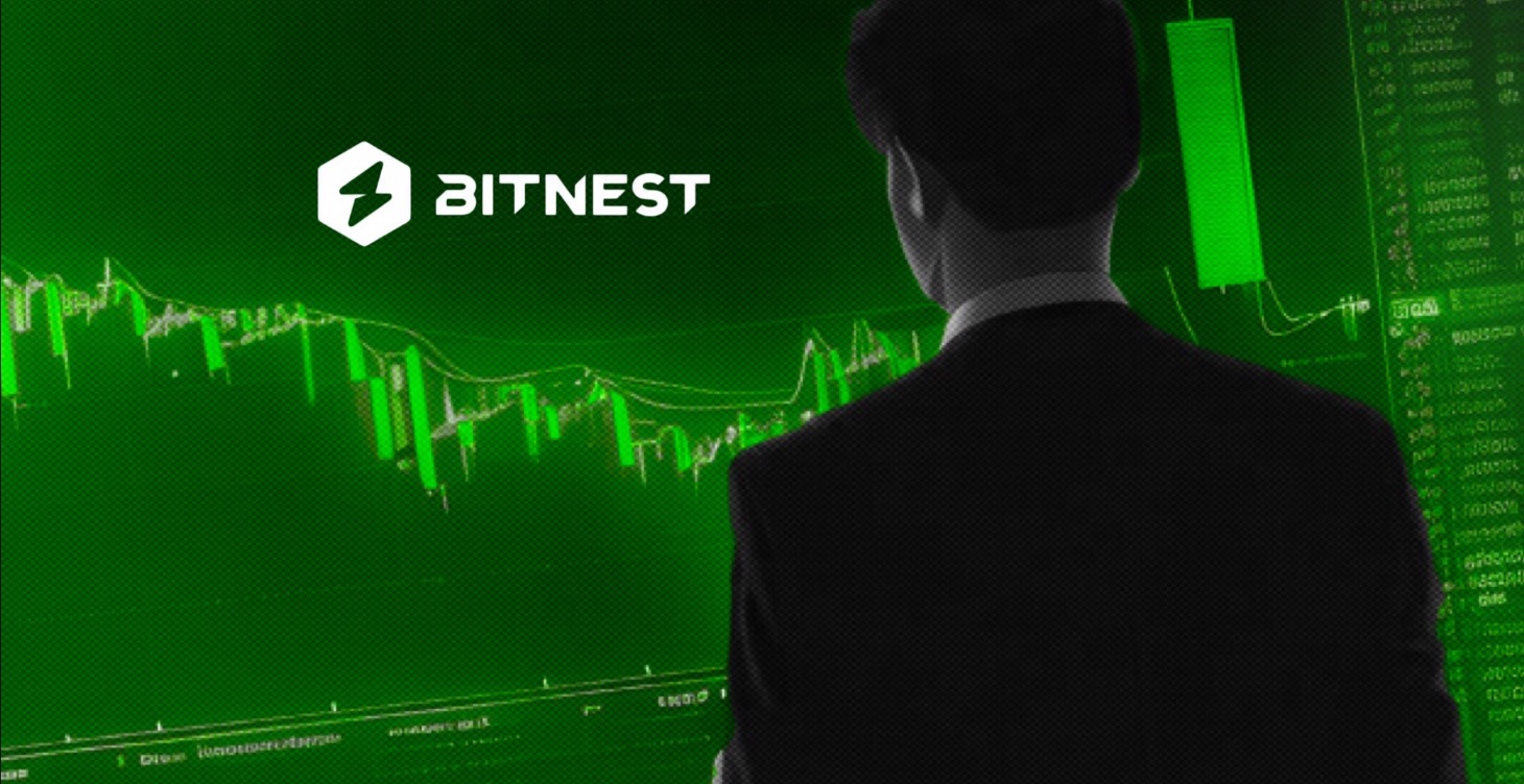 BitNest Pro