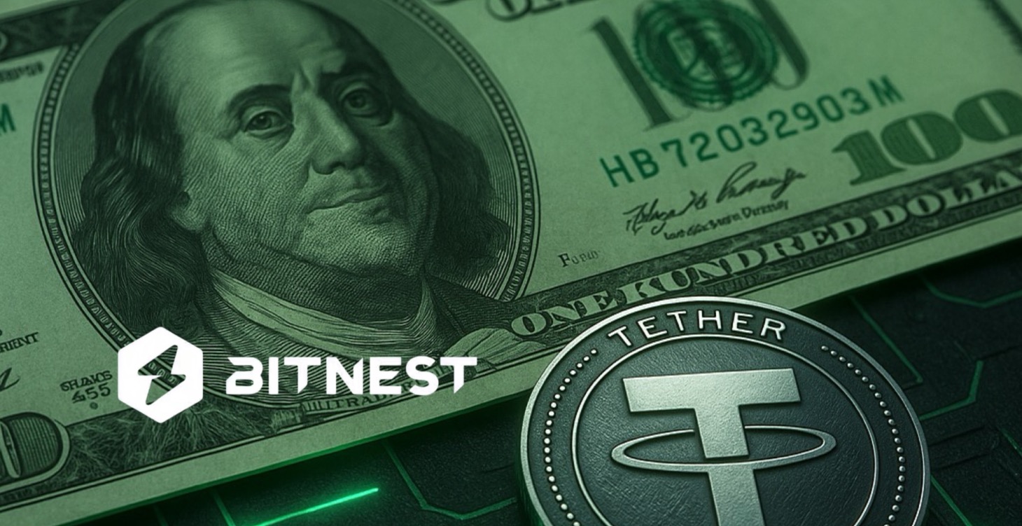 Testimonios BitNest
