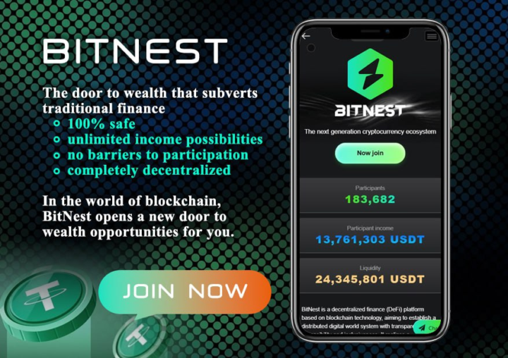 Por qué Bitnest?