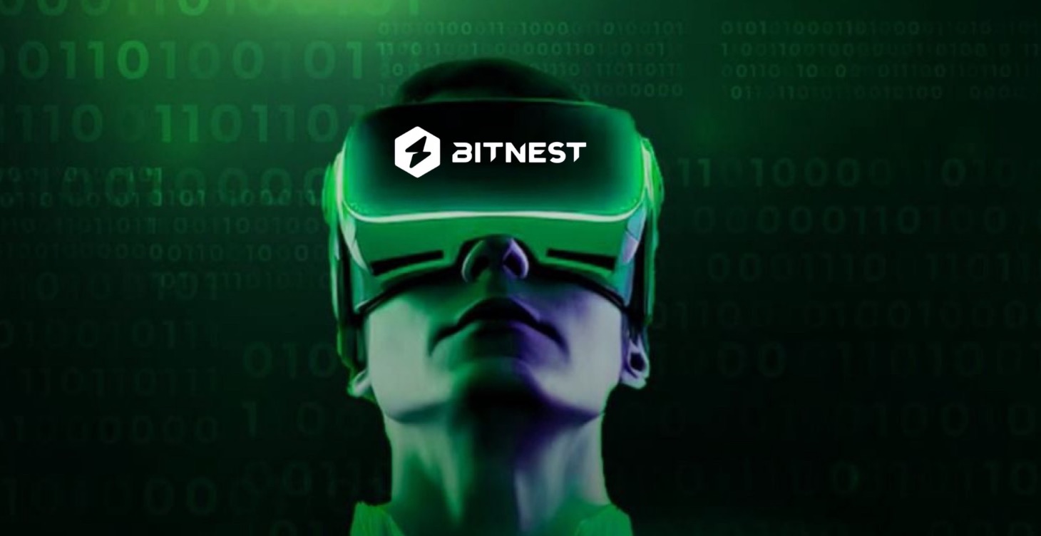 BitNest desde Cero