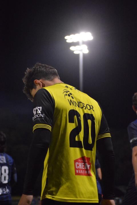 Max Bisetto