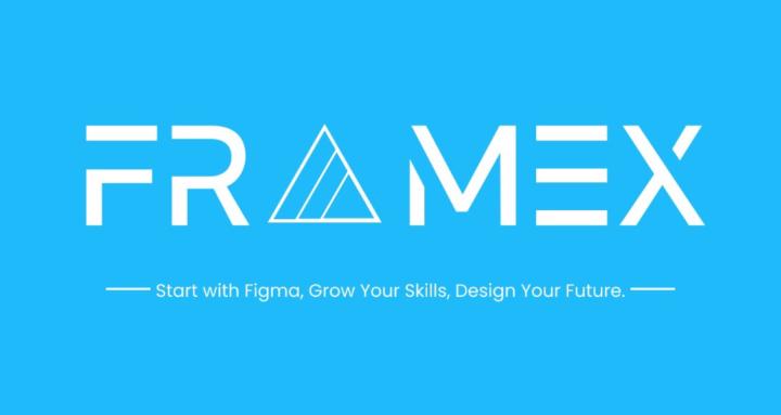 FrameX