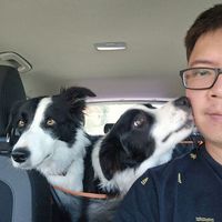 Andy Liu