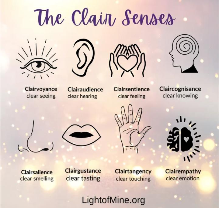 Introduction to "THE CLAIRS"