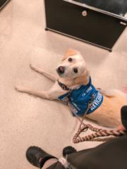 Josephine Fiona Jørgensen